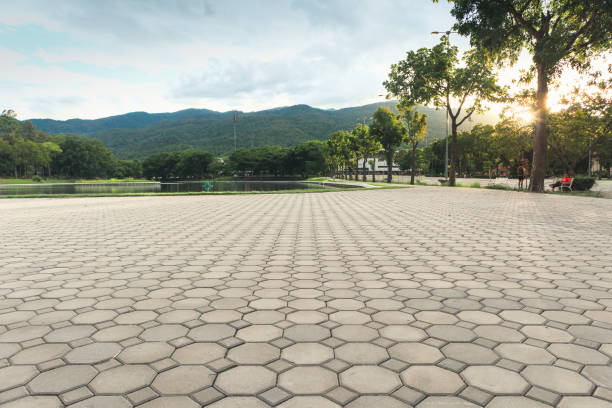 Best Best Driveway Pavers  in Kayak Point, WA